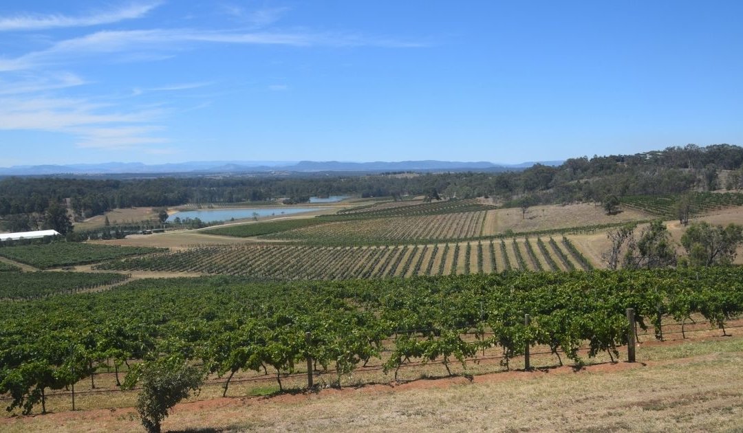 Best boutique wineries in The Hunter Valley