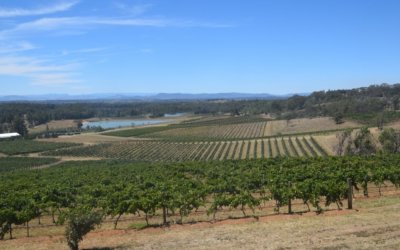 Best boutique wineries in The Hunter Valley