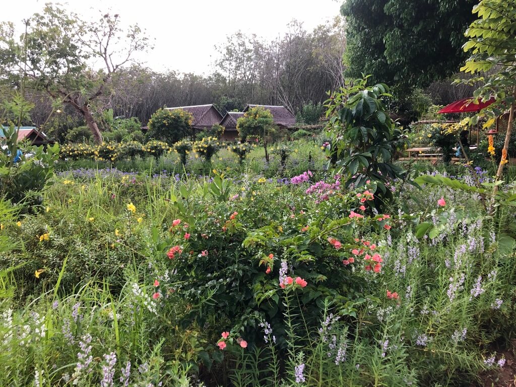 Beautiful gardens with different coloured flowers at Banraigarden Home